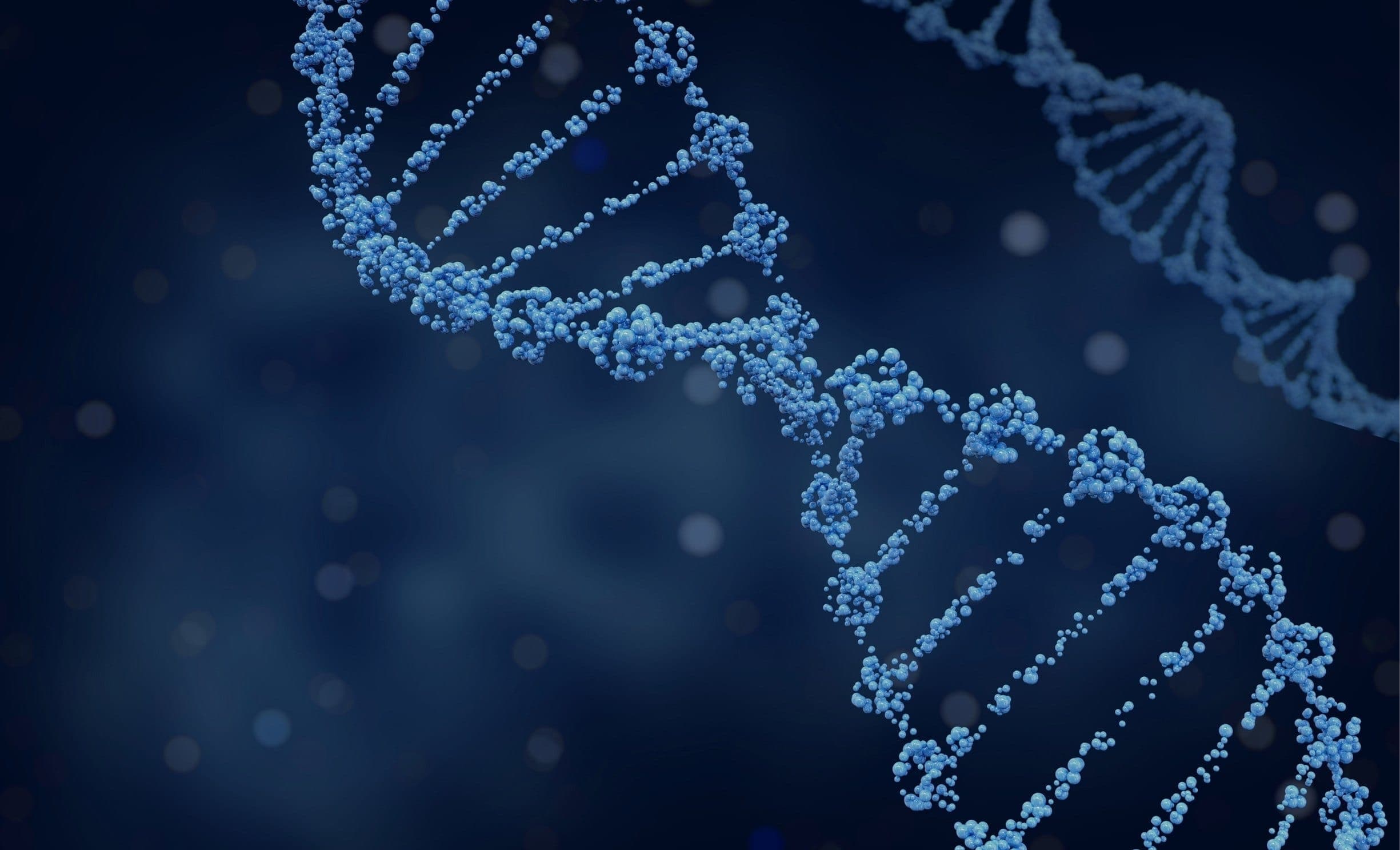 Body Insights & Optimisation